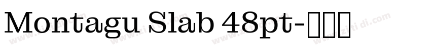 Montagu Slab 48pt字体转换